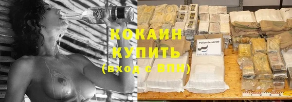 стаф Бородино