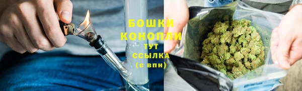 стаф Бородино