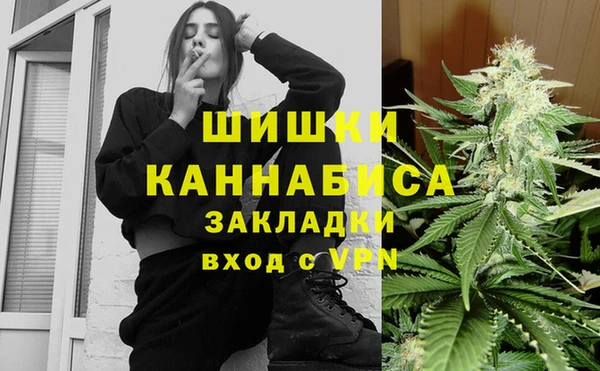 стаф Бородино