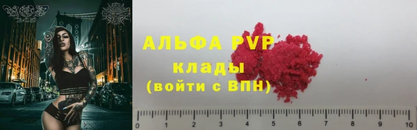 стаф Бородино