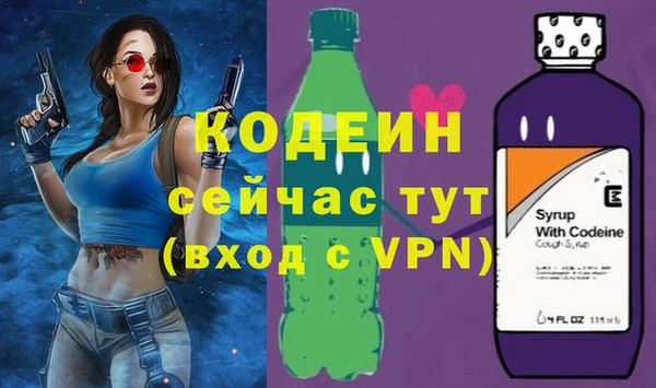 стаф Бородино