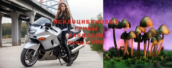COCAINE Верея