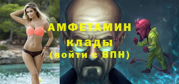 стаф Бородино