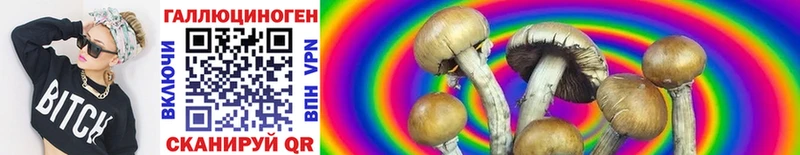 kraken ONION  Нефтекамск  Галлюциногенные грибы Psilocybine cubensis 